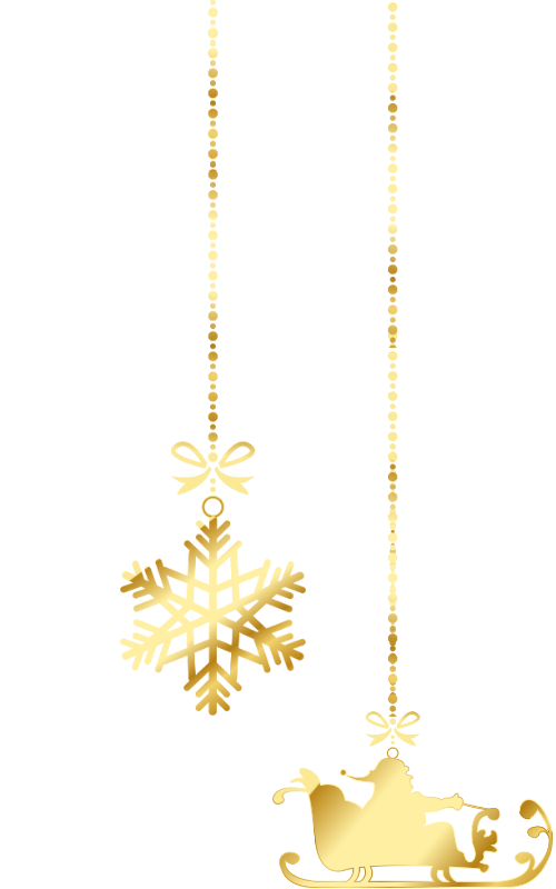 バランスドボディピラティスインストラクター養成スクール